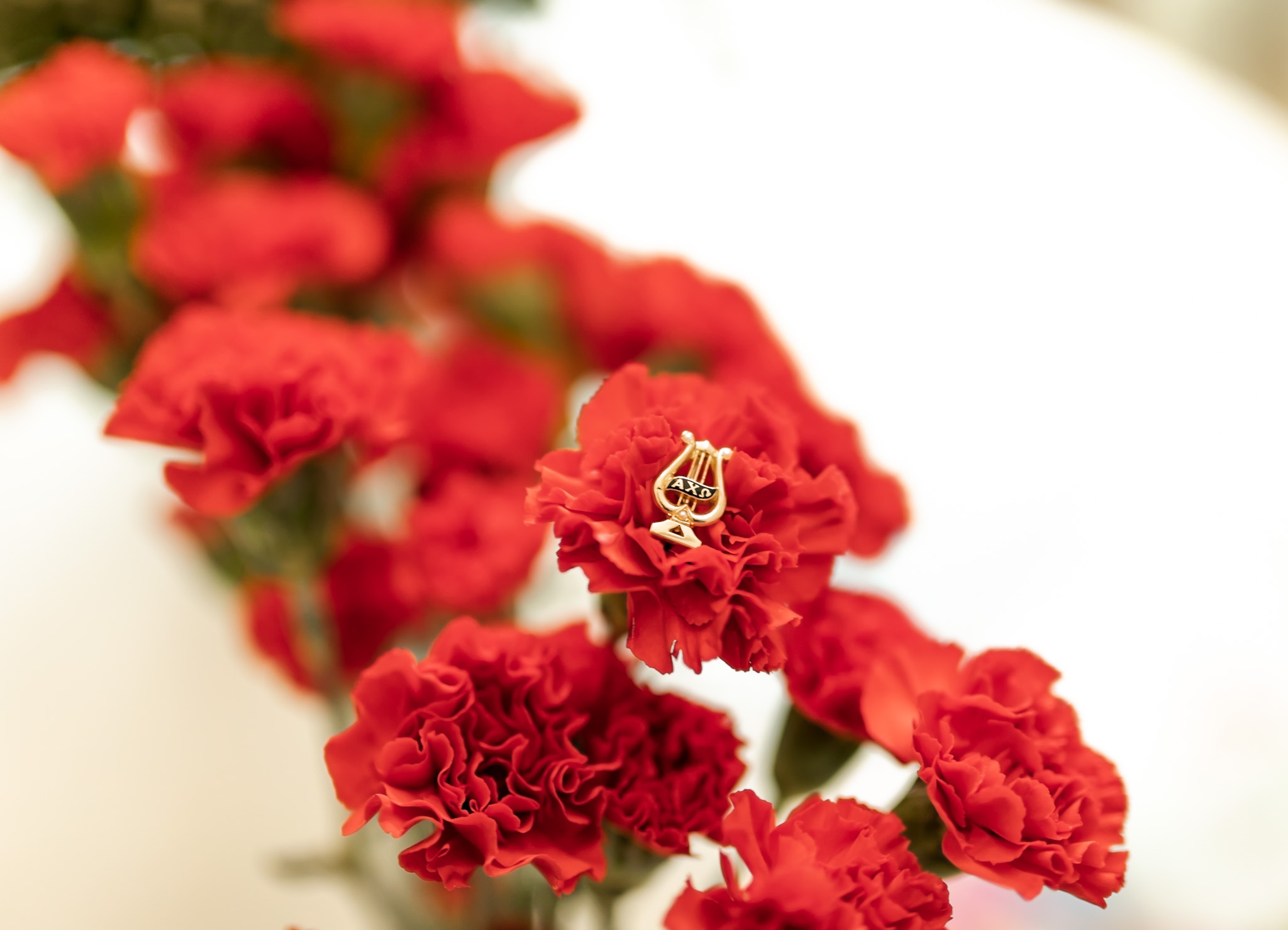 Opening Doors Since 1886